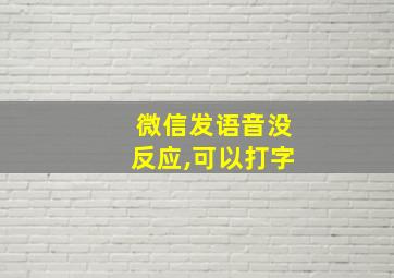 微信发语音没反应,可以打字