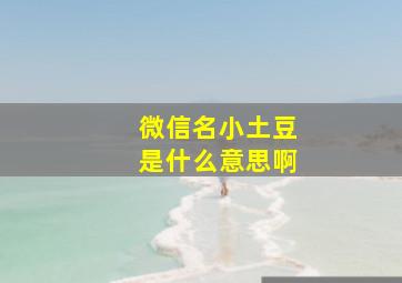 微信名小土豆是什么意思啊