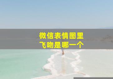 微信表情图里飞吻是哪一个