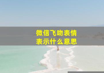 微信飞吻表情表示什么意思