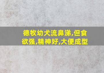 德牧幼犬流鼻涕,但食欲强,精神好,大便成型