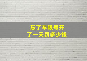 忘了车限号开了一天罚多少钱