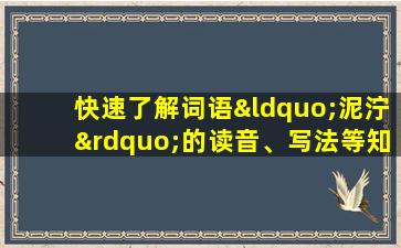 快速了解词语“泥泞”的读音、写法等知识点