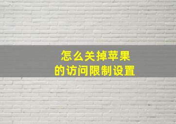 怎么关掉苹果的访问限制设置