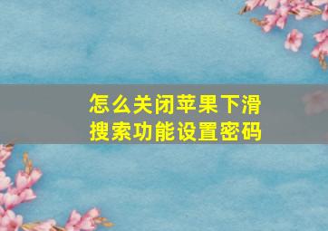 怎么关闭苹果下滑搜索功能设置密码