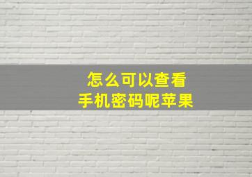 怎么可以查看手机密码呢苹果