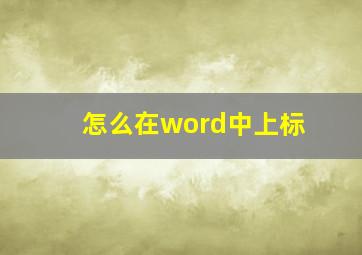 怎么在word中上标