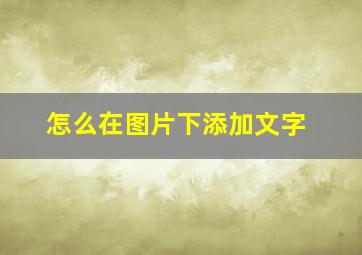 怎么在图片下添加文字