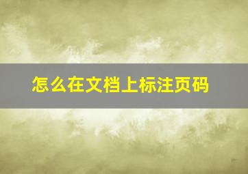 怎么在文档上标注页码