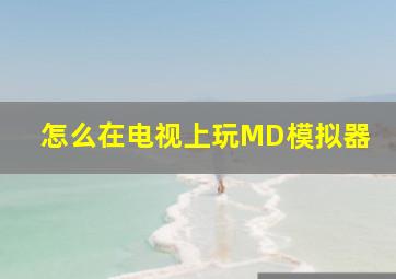 怎么在电视上玩MD模拟器