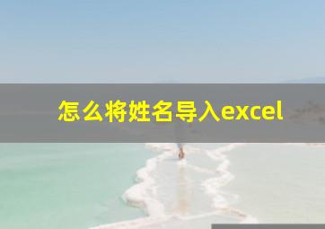 怎么将姓名导入excel