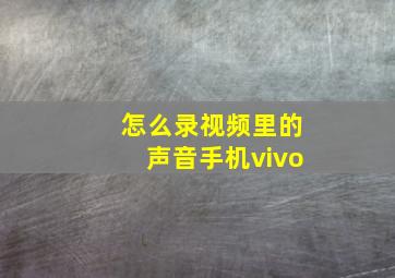 怎么录视频里的声音手机vivo