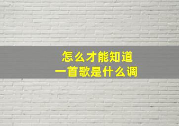 怎么才能知道一首歌是什么调