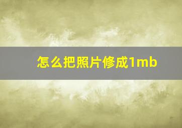 怎么把照片修成1mb