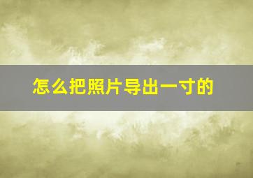 怎么把照片导出一寸的