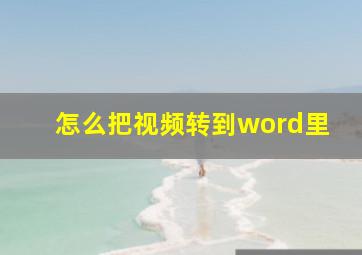 怎么把视频转到word里