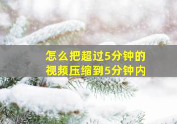 怎么把超过5分钟的视频压缩到5分钟内