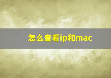 怎么查看ip和mac