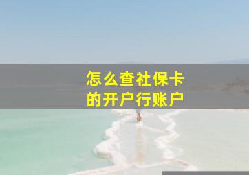 怎么查社保卡的开户行账户