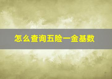 怎么查询五险一金基数