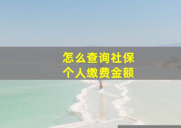 怎么查询社保个人缴费金额