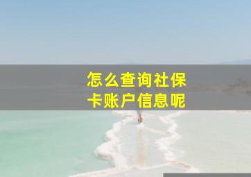 怎么查询社保卡账户信息呢