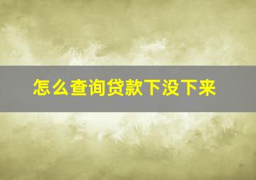 怎么查询贷款下没下来