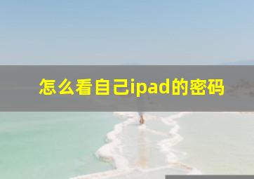 怎么看自己ipad的密码