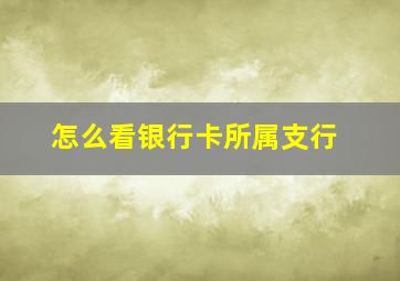 怎么看银行卡所属支行