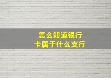 怎么知道银行卡属于什么支行