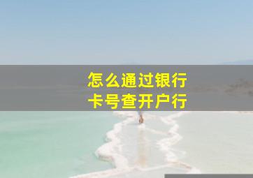 怎么通过银行卡号查开户行