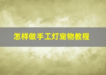 怎样做手工灯宠物教程