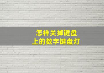 怎样关掉键盘上的数字键盘灯