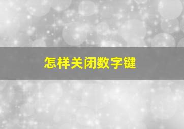 怎样关闭数字键