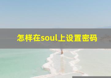 怎样在soul上设置密码