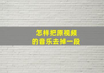 怎样把原视频的音乐去掉一段