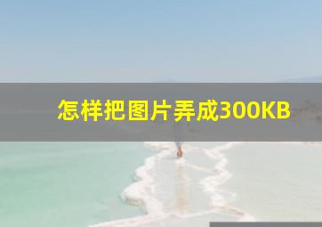 怎样把图片弄成300KB