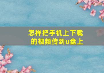 怎样把手机上下载的视频传到u盘上