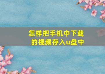 怎样把手机中下载的视频存入u盘中