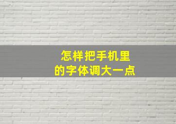 怎样把手机里的字体调大一点