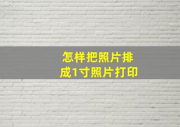 怎样把照片排成1寸照片打印