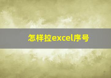 怎样拉excel序号