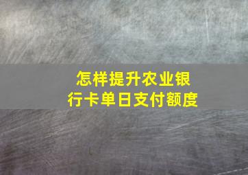 怎样提升农业银行卡单日支付额度