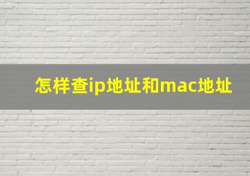 怎样查ip地址和mac地址