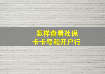 怎样查看社保卡卡号和开户行