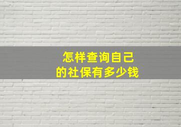 怎样查询自己的社保有多少钱