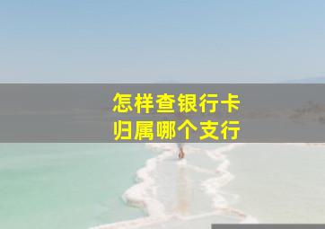 怎样查银行卡归属哪个支行