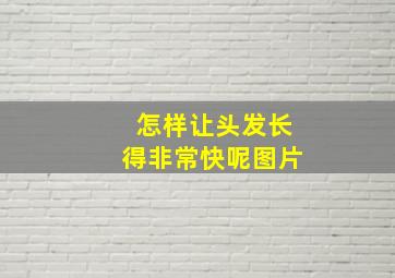 怎样让头发长得非常快呢图片