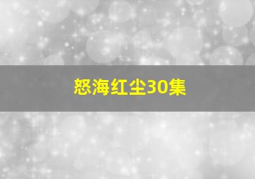 怒海红尘30集