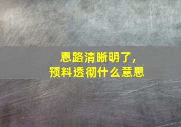 思路清晰明了,预料透彻什么意思